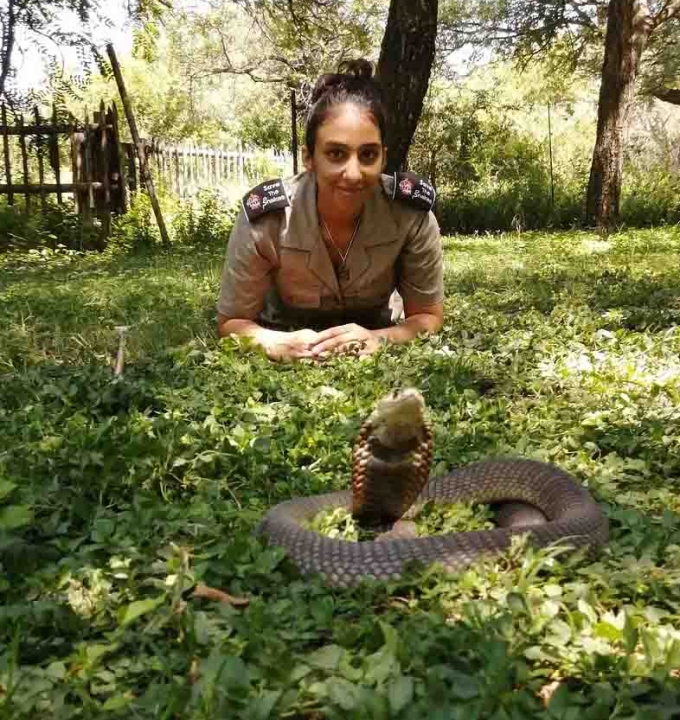 Hiral Naik is the Africa Programme Manager at ‘Save The Snakes’, an organisation dedicated to mitigating human-snake conflict globally. Hiral is currently running a snake education and outreach project in South Africa in collaboration with the Hoedspruit Reptile Centre.