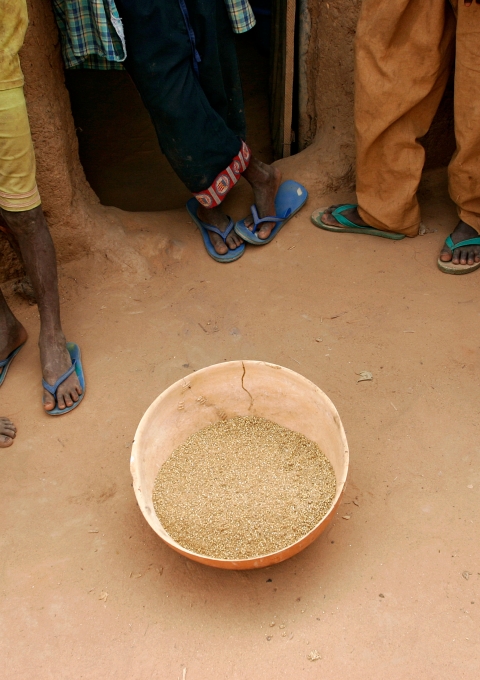 In March 2007, MSF began to support five health clinics in Dakoro as well as the Dakoro hospital. MSF is increasingly integrating nutrition into paediatric healthcare by monitoring, screening and treating malnutrition within the framework of regular healthcare. This allows the malnourished children to be identified early and allows for year-round monitoring.