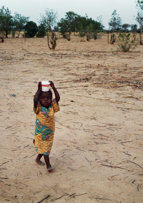 Half of children aged six months to three years have suffered acute malnutrition in Guidan Roumdji district during 2006. MSF gave these children three daily spoonfuls of nutritional supplements during the inter-harvest period to prevent severe malnutrition, 2007.