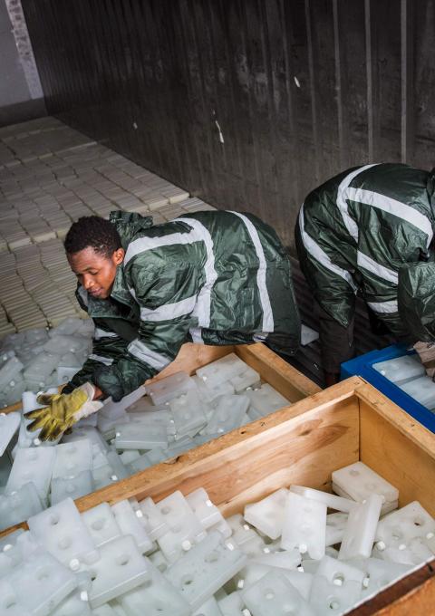 Medecins Sans Frontieres (MSF) staff stock 17.000 icepacks in cooler containers for use in the massive Yellow Fever vaccination campaign in DRC