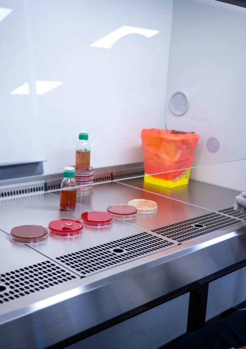 Antimicrobial resistance (AMR) is a major public health threat. Low- and middle-income countries are often hit the hardest.