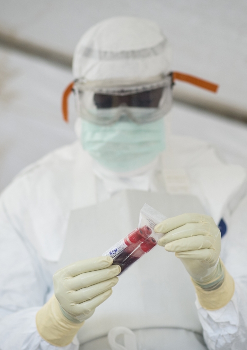 A lab assistant with blood samples from suspected EVD cases.