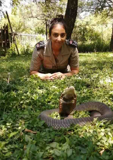 Hiral Naik is the Africa Programme Manager at ‘Save The Snakes’, an organisation dedicated to mitigating human-snake conflict globally. Hiral is currently running a snake education and outreach project in South Africa in collaboration with the Hoedspruit Reptile Centre.