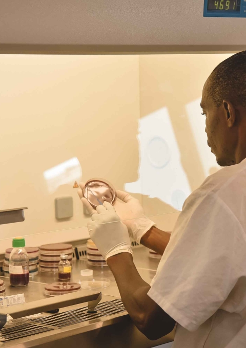 Ministry of Health laboratory technician Allieu Tucker conducts a subculture test on patients’ samples in the laboratory of the MSF-supported Government Maternity and Children’s Hospital in Hangha, Kenema District, Sierra Leone.