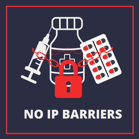 Address intellectual property challenges for the protection of the right to health and access to medicines