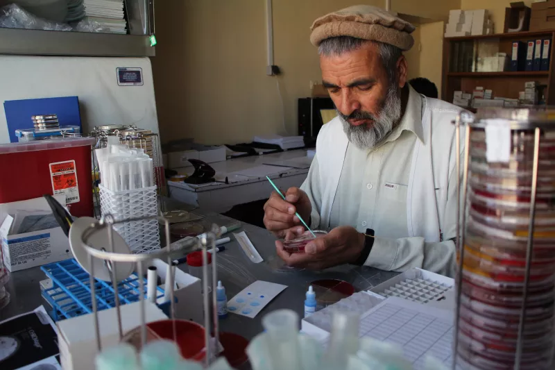 Dr Wardak Abdul Qayoum assists the expat microbiologist in supervising the team and carrying out isolation, identification and sensitivity testing of the 3000 bacterial strains expected. He uses a plastic loop to take a colony of bacteria from the culture plate. MSF has launched for the first time an Antibiotic Resistance Study in Lashkar Gah, Helmand, Afghanistan. A laboratory has been set up in the Boost Hospital where MSF works to carry out the study. 