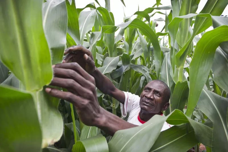 Charles Sako is 41 and lives with his partner and three-year old daughter in Kibera, a deprived area of the Kenyan capital, Nairobi. Charles is HIV positive and is being treated at an MSF clinic in Kibera. Six years ago, after he had started antiretroviral treatment, Charles documented his life in pictures in a project called ‘My Life with HIV’. Now, in 2011, Charles is a healthy and active individual, working as a receptionist in a health centre to support his family. Photograph by Sven Torfinn