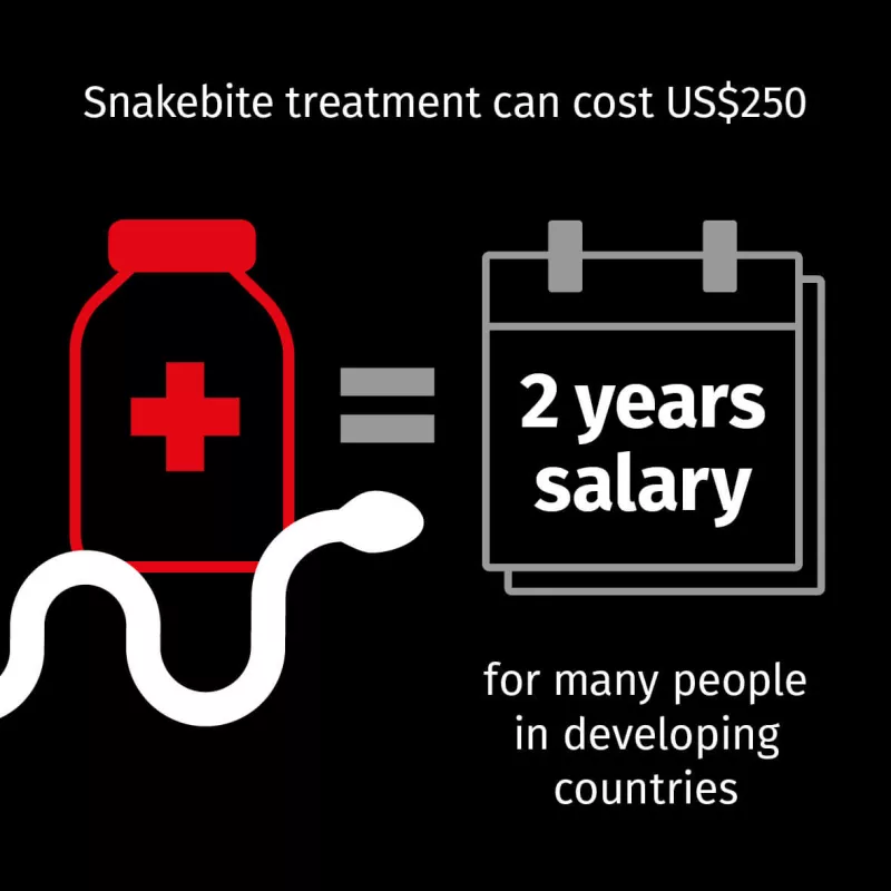 Control of Neglected Tropical Diseases Based on Prices