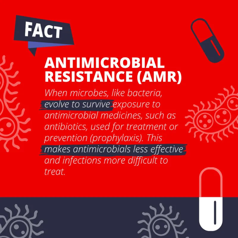 FACT: Antimicrobial resistance (AMR): when microbes, like bacteria, evolve to survive exposure to antimicrobial medicines, such as antibiotics, used for treatment or prevention (prophylaxis). This makes antimicrobials less effective and infections more difficult to treat. 