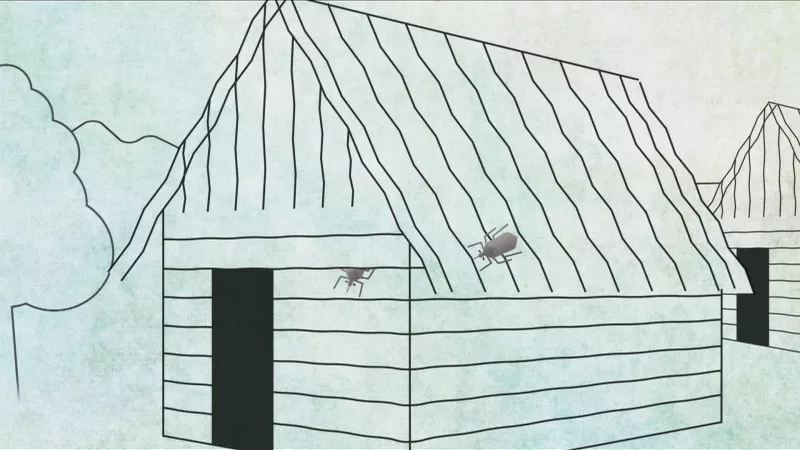 Killer diseases - Chagas