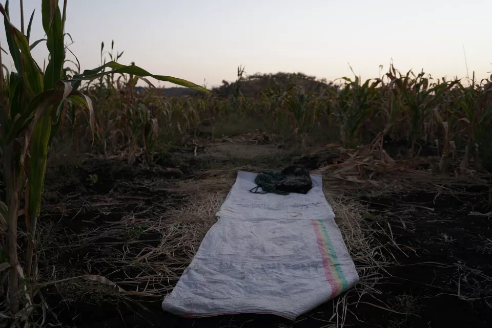 A place to sleep of one of the workers in the open field. The migrant workers stay in the fields day and night, sleep in the open, cook, and eat there.