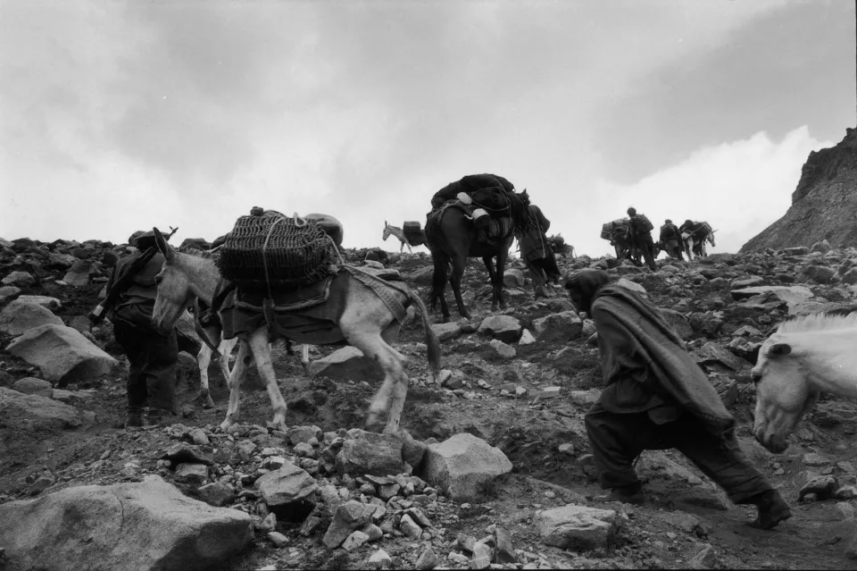 Col du Kalotac. La caravane MSF. Des equipes MSF interviennent de facon clandestine dans les territoires controles par la resistance afghane: dans la region du Badakhshan, a 3 semaines de marche de la frontiere, et dans le Paktia, plus proche. Parties de Peshawar, au Pakistan, les caravanes transportant plusieurs tonnes de medicaments traversent a pieds et a dos de mules la chaine montagneuse situee entre les deux pays. Le trajet dure entre trois et quatre semaines.