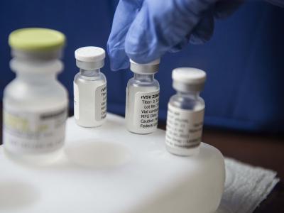 rVSV-EBOV experimental vaccine against Ebola. Photograph by Yann Libessart