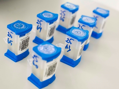 Cartridges with samples for GeneXpert test system used for rapid TB and rifampicin-resistance diagnostics.