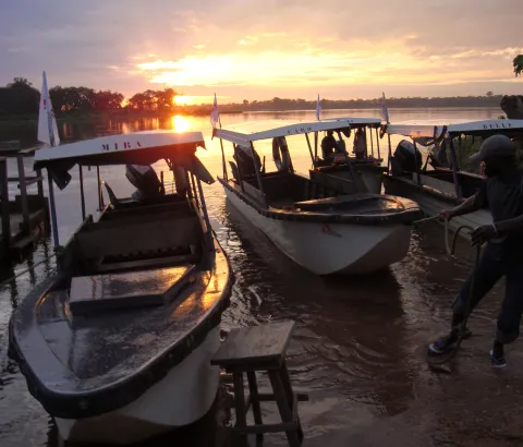 In Congo's rainforest, MSF cured 15.000 pygmies affected by Yaws, a neglected disease, in 3 months (Sept - Oct 2012) using a new therapeutic regime (single dose oral antibiotic).