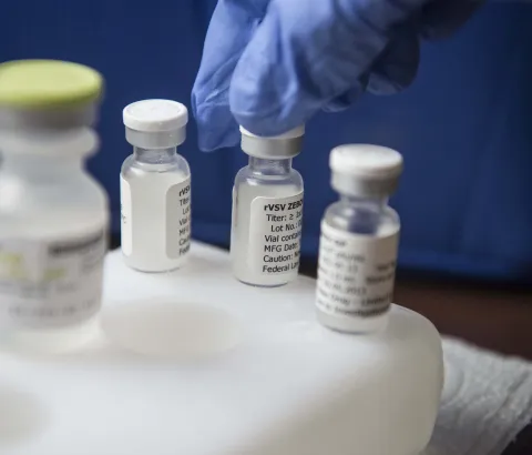 rVSV-EBOV experimental vaccine against Ebola. Photograph by Yann Libessart