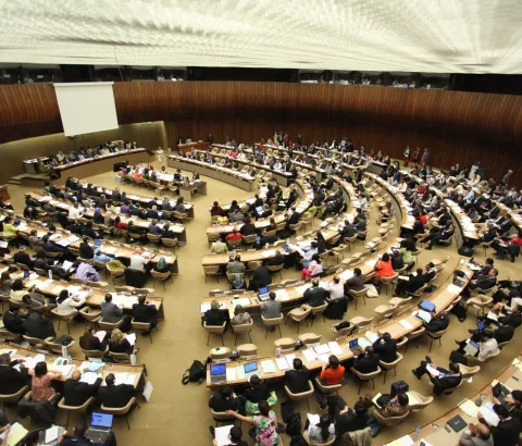 64th World Health Assembly, 2011