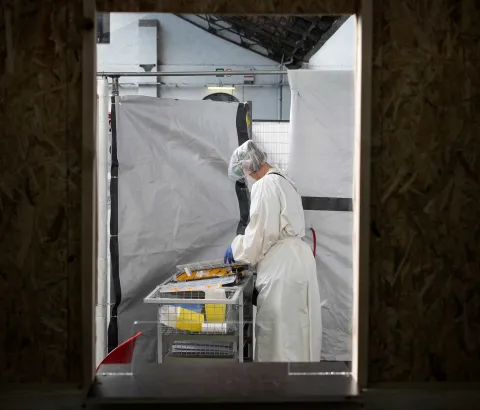 COVID-19 intervention in Brussels, Belgium