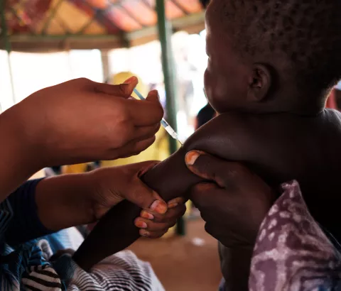 Tinelbaraka Walet Brahim being vaccinated at a homestead in the village of Lemetrewegh in the Hodh ech Chargui region of Mauritania