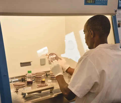 Ministry of Health laboratory technician Allieu Tucker conducts a subculture test on patients’ samples in the laboratory of the MSF-supported Government Maternity and Children’s Hospital in Hangha, Kenema District, Sierra Leone.