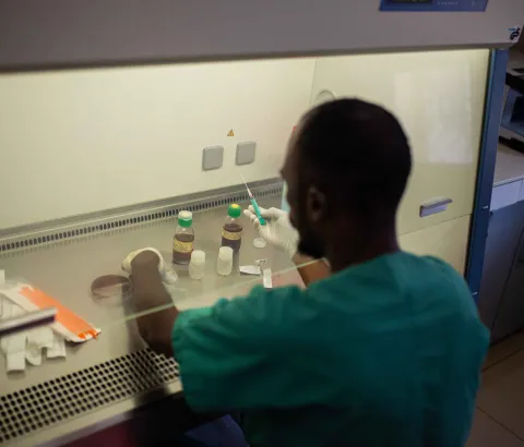 In the mini laboratory set up by MSF in SICA hospital, Bangui, Justin, laboratory technician and Nicaise, laboratory supervisor analyze samples collected from patients. They check liquid and solid samples to detect the potential presence of resistant bacteria.